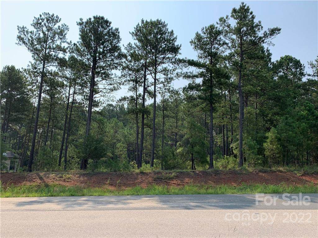 4027 Persimmon Road - Photo 1
