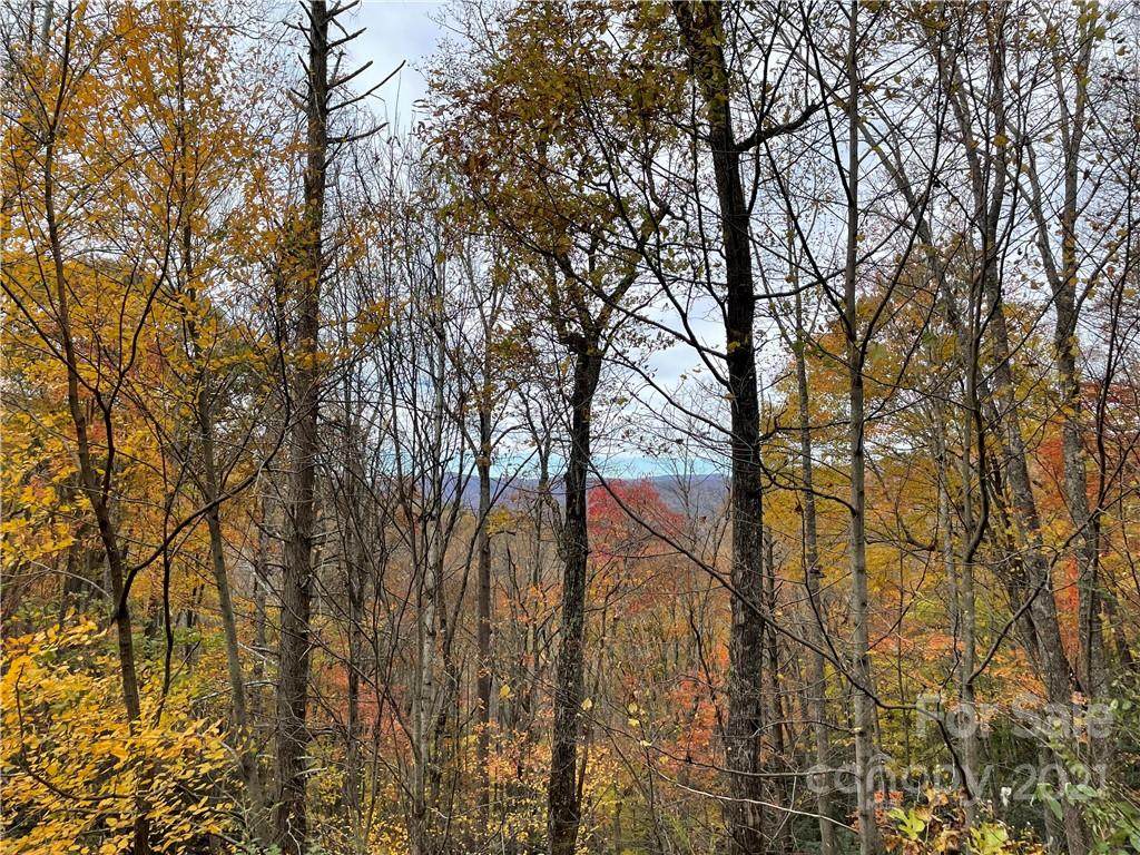 126 Large Poplar Trail - Photo 1
