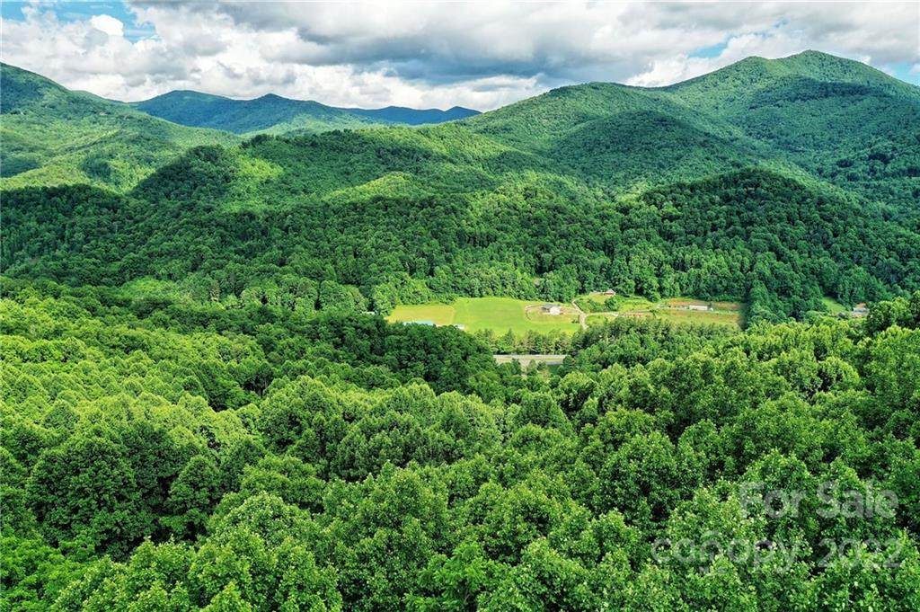 Lot 48 Forest Valley Drive - Photo 1