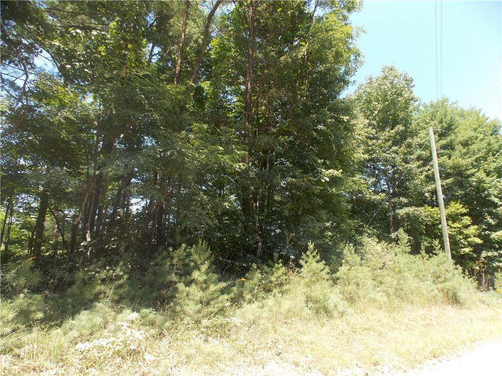 TBD White Rock Road - Photo 1