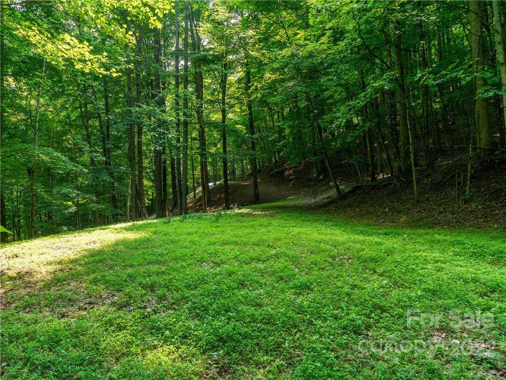 Lot 21 Celo Heights Way - Photo 1