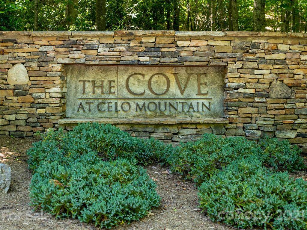 Lot 9 Celo Heights Way - Photo 1