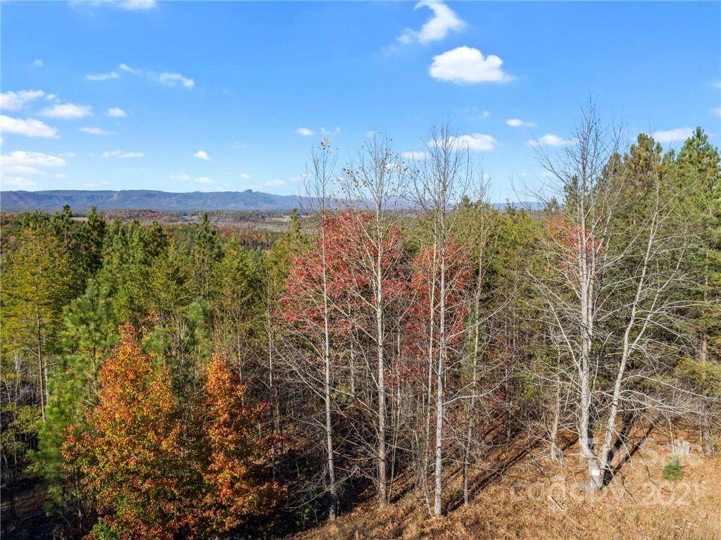 3701 Rose Boulevard - Photo 1