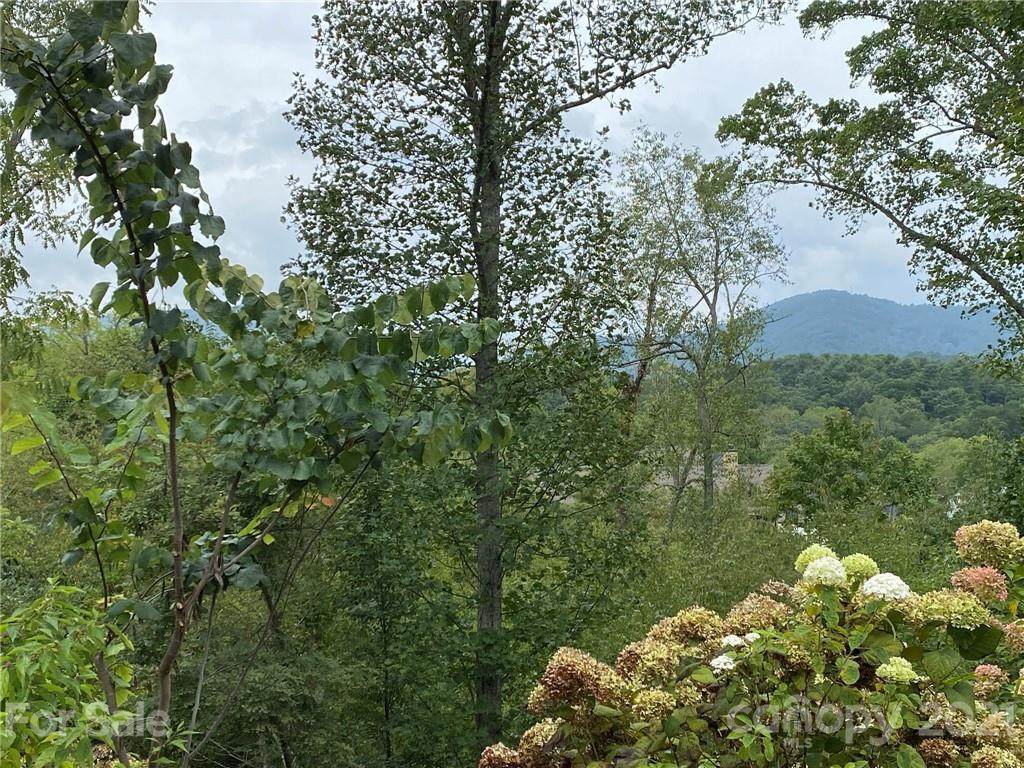 7 Magnolia View Trail - Photo 1
