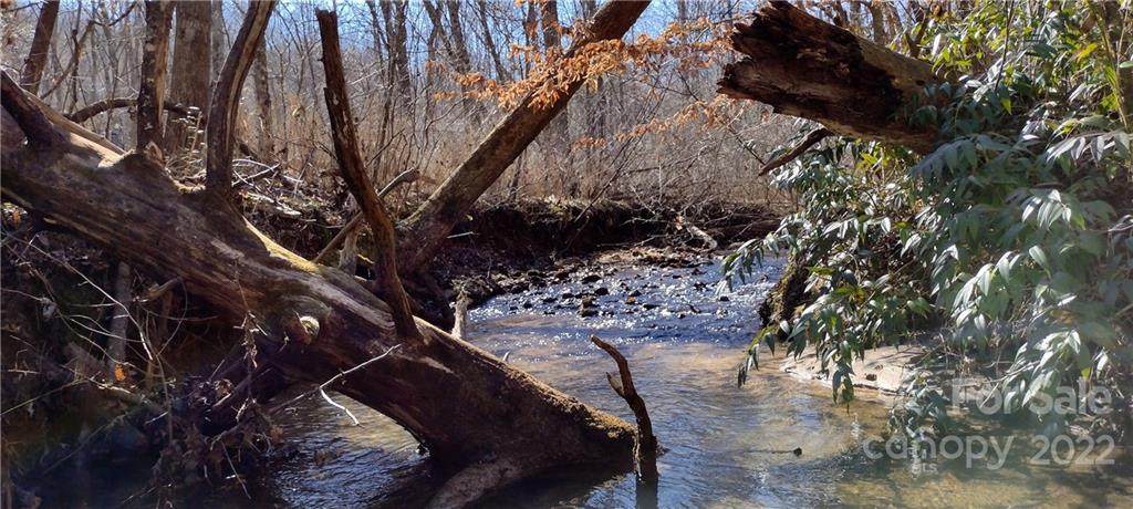 Lot 20-IV-A Hidden Lake Parkway - Photo 1