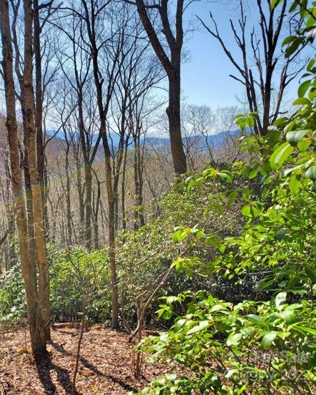 291 Long Splice Way - Photo 1
