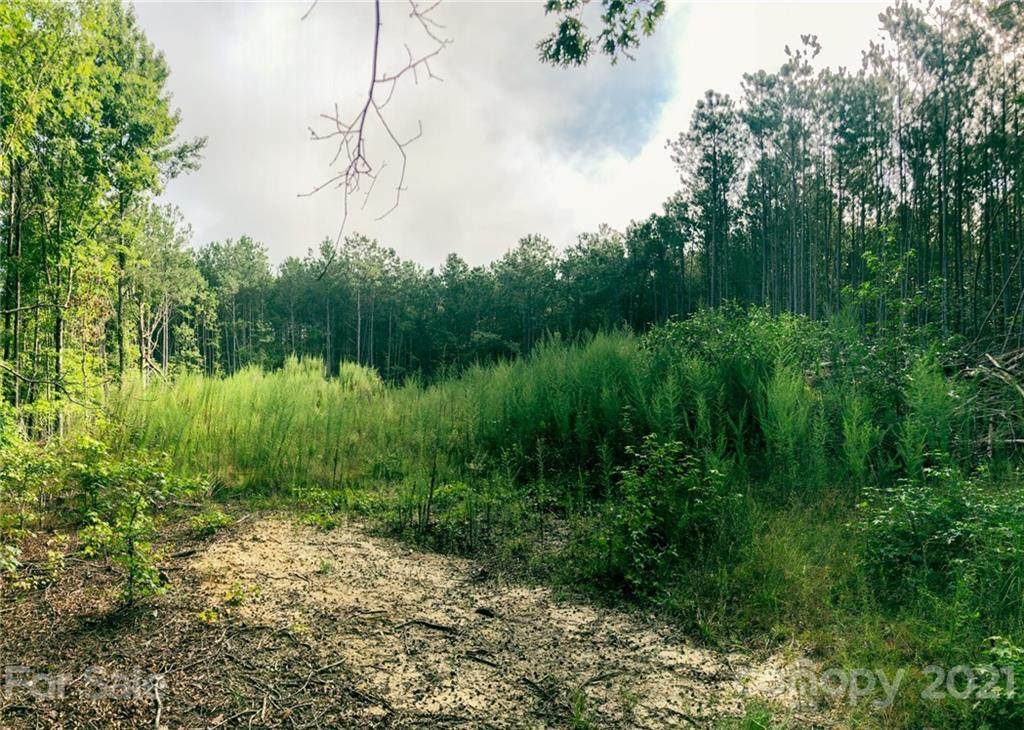 TBD Taxahaw Road - Photo 1