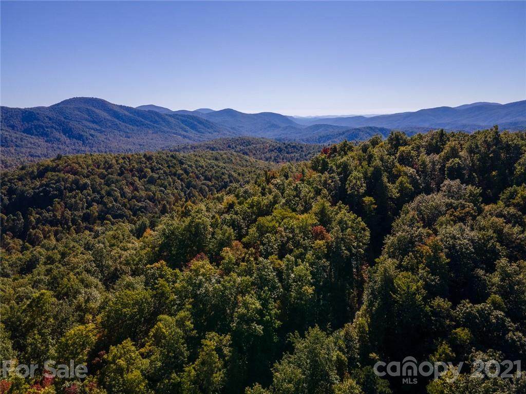 TBD Laurel Mountain Trail - Photo 1