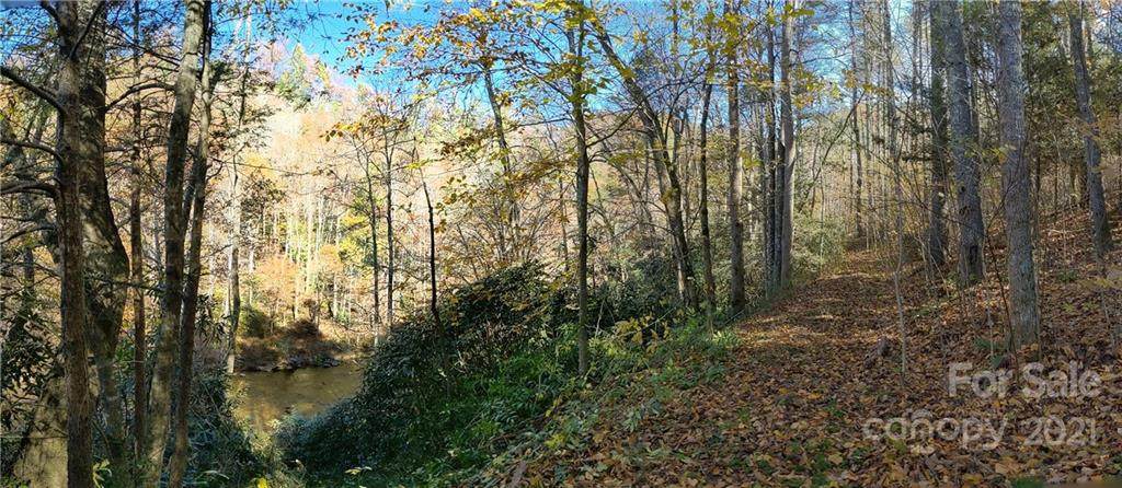 52 Bear Paw Trail - Photo 1