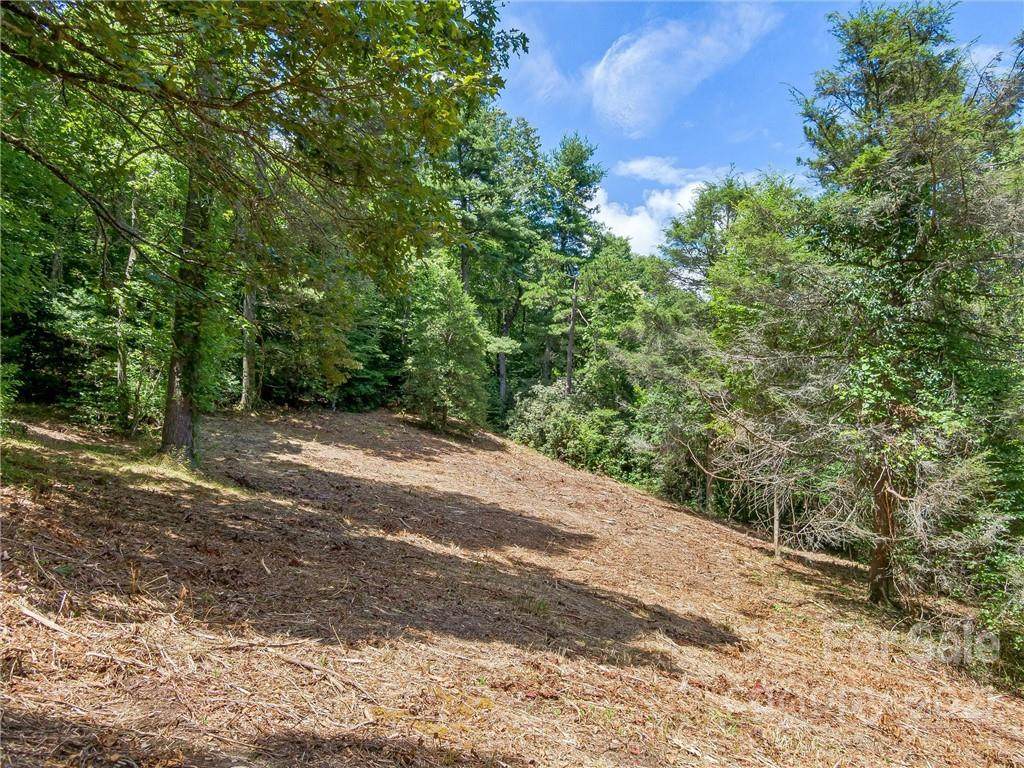 1425 Jeter Mountain Road - Photo 1