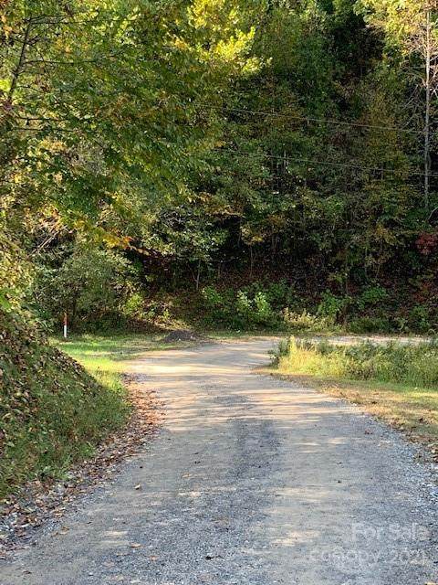 80 Walking Horse Trail - Photo 1