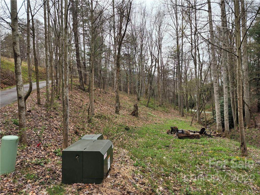 000 Curly Maple Drive - Photo 1