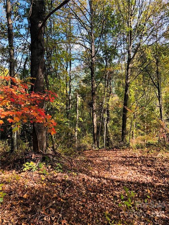 1851 Newfound Road - Photo 1