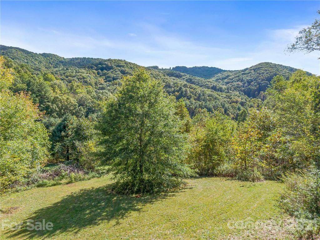 224 Eller Cove Road - Photo 1