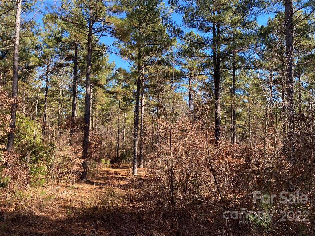 5422 Goat Farm Road - Photo 1
