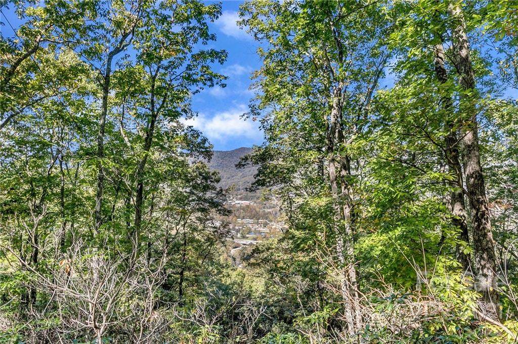 207 Lytle Cove Road - Photo 1