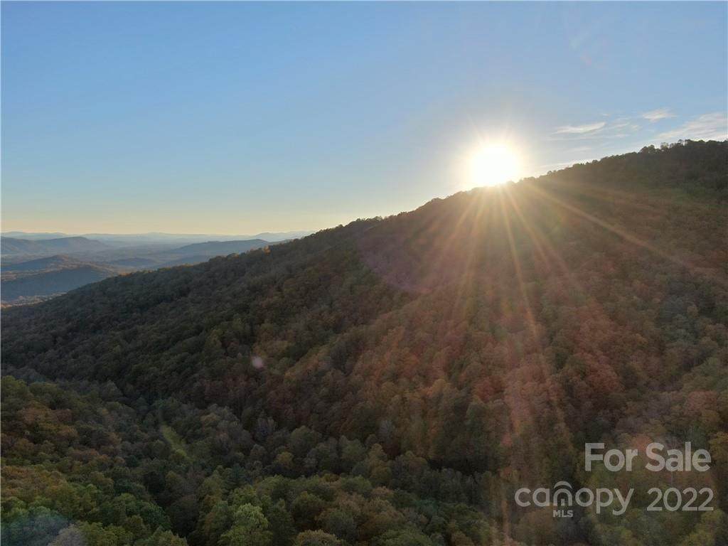 99999 Red Oak Forest Road - Photo 1