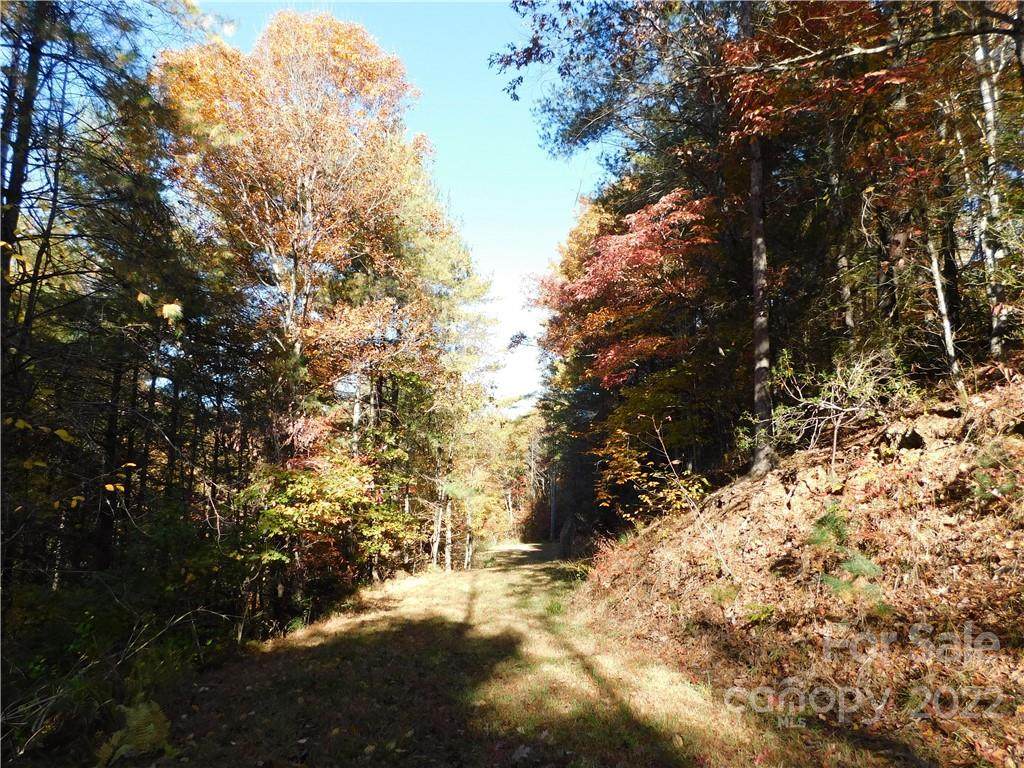 Lot 22 Black Hills Drive - Photo 1