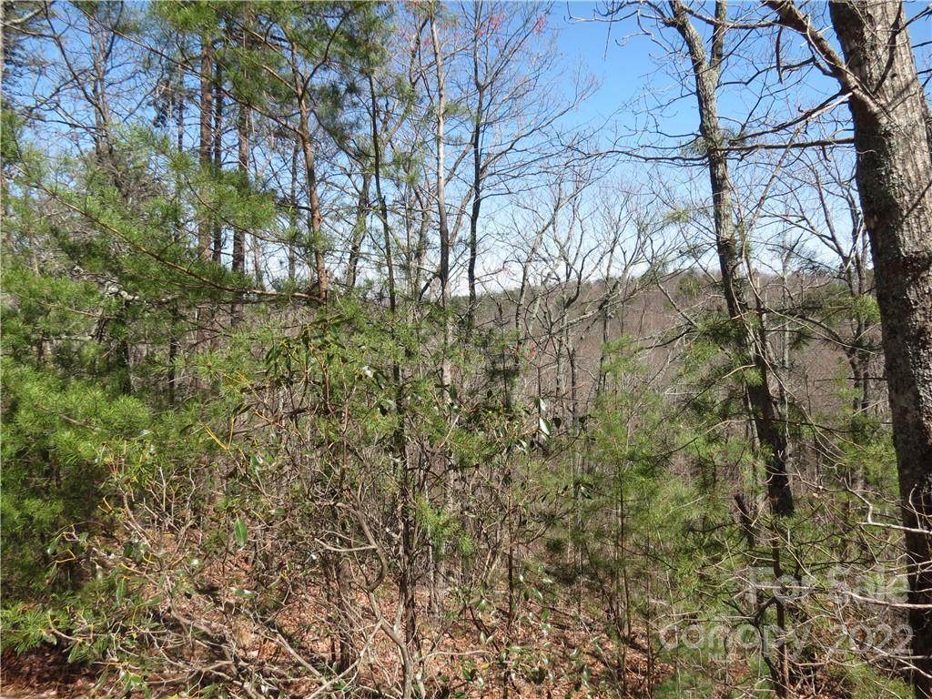 6182 Tommys Trail - Photo 1