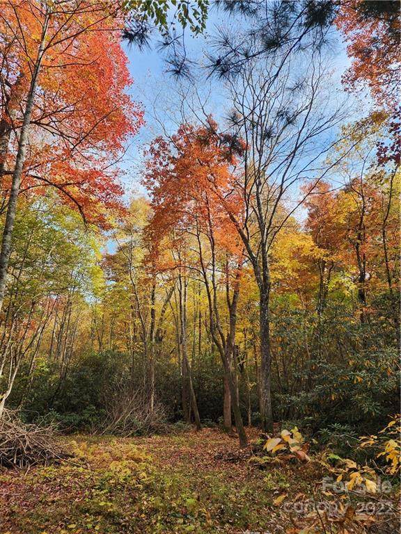 213 Patton Thicket Road - Photo 1