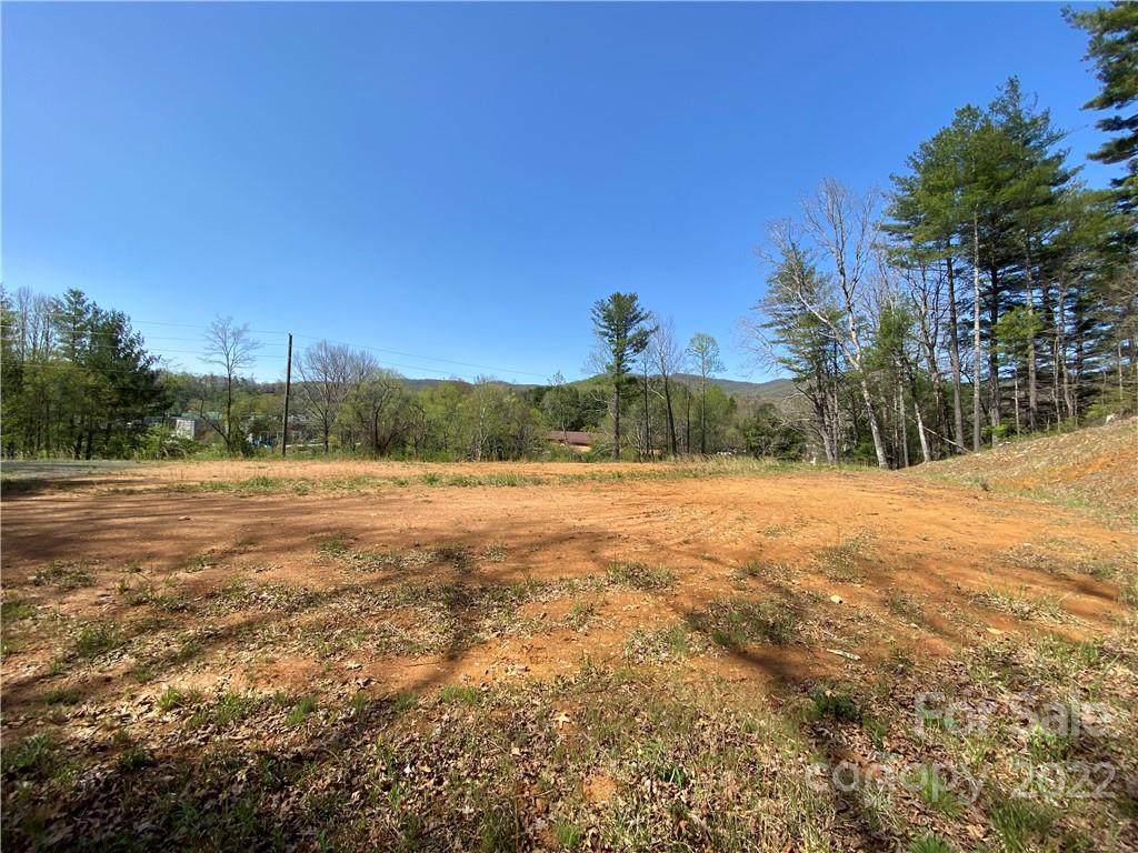111 Carters Ridge Road - Photo 1