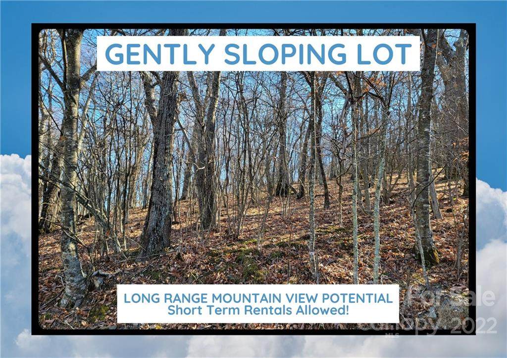 Lot B5 Running Deer Trail - Photo 1