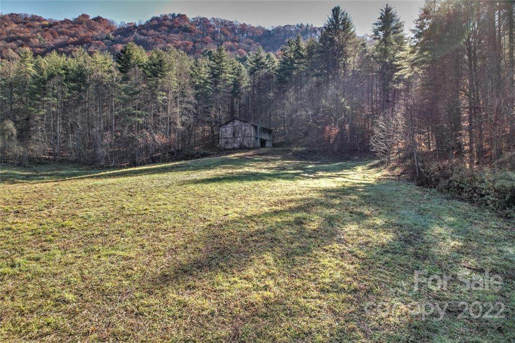 TBD Cutshall Town Road - Photo 1