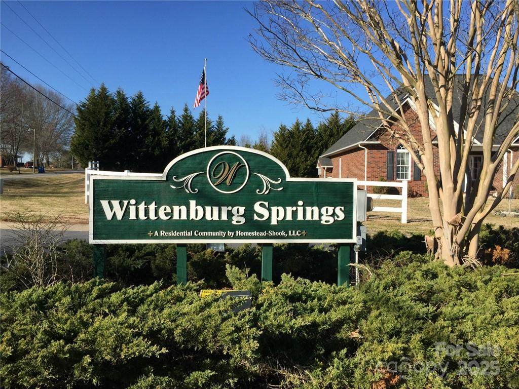 Lot 12 Wittenburg Springs Drive - Photo 1