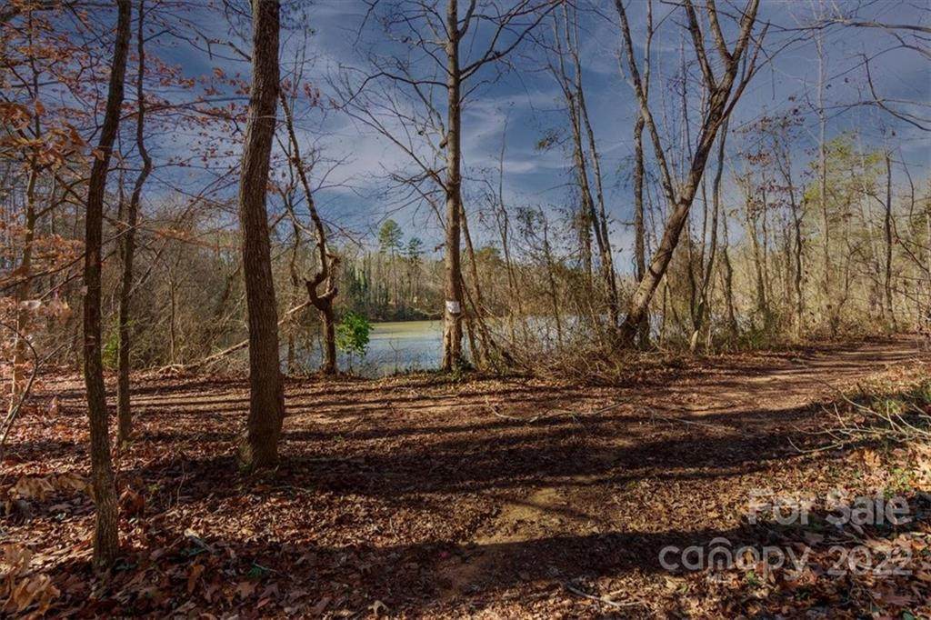 10609 Lake Road - Photo 1