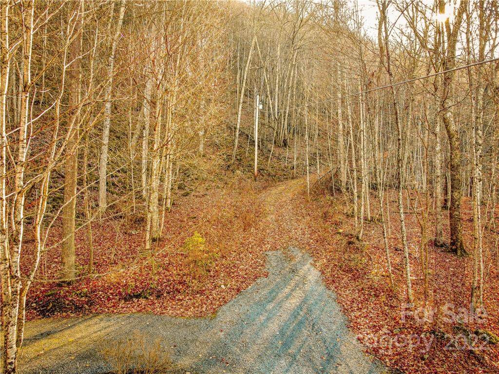 Lot 316 Mcguires Ridge - Photo 1