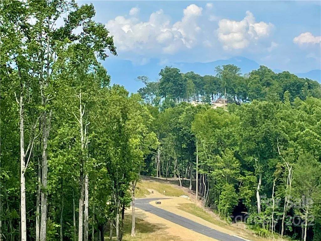 Lot 81 Mountain Grove Lane - Photo 1