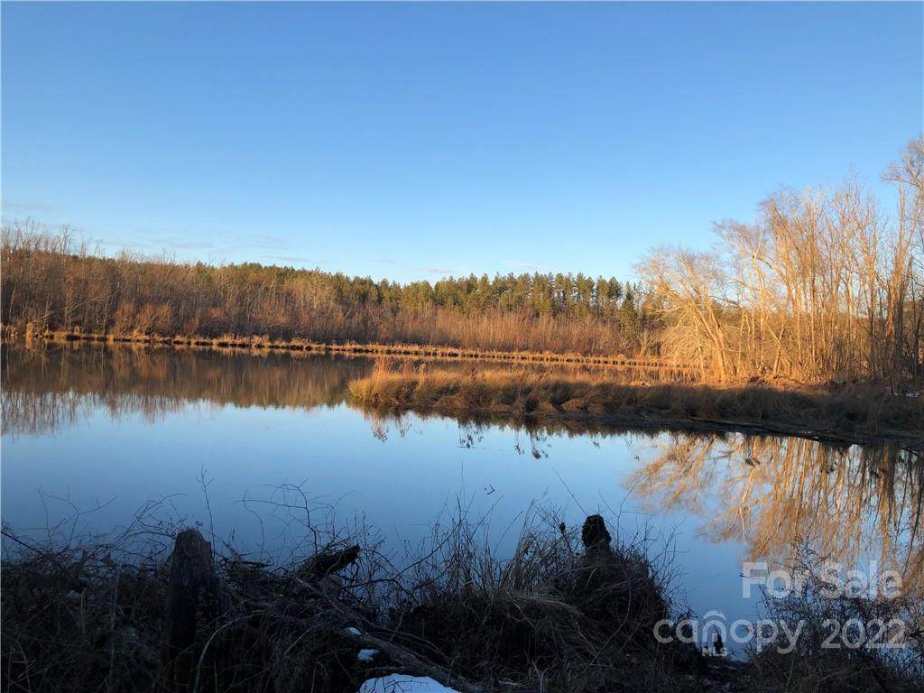 101 Catawba Cove Drive - Photo 1