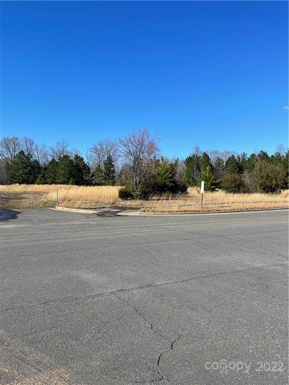 0 Waxhaw Parkway - Photo 1
