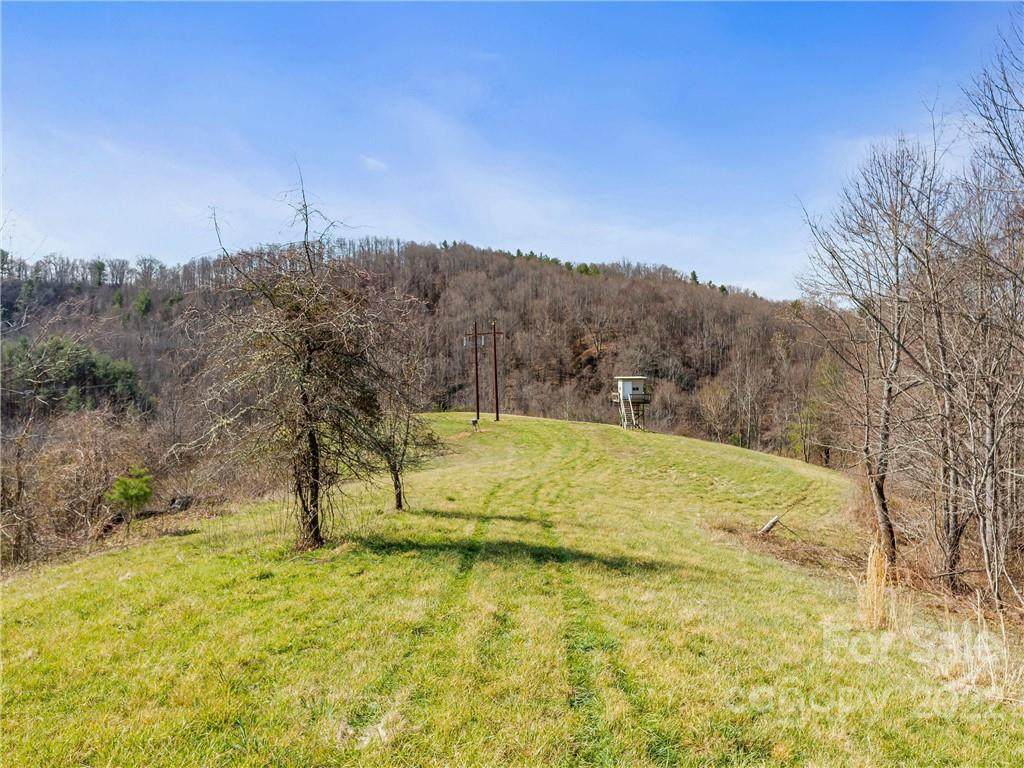 999 Dry Branch Road - Photo 1