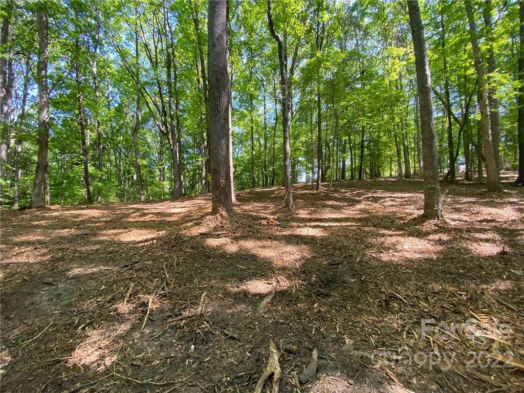 147 Meadow Creek Lane - Photo 1