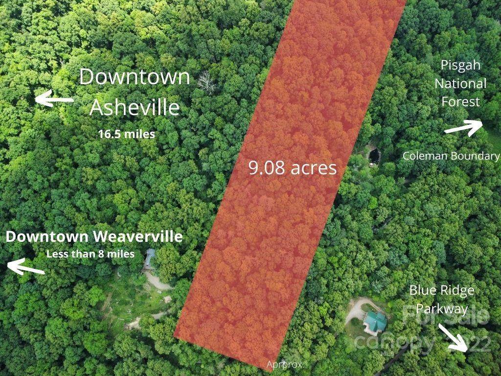 TBD Cook Cove Road - Photo 1