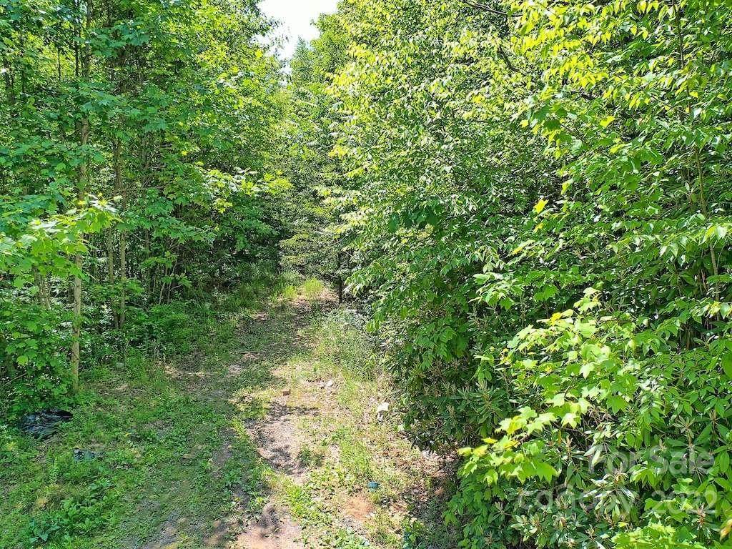 50 Twin Creeks Road - Photo 1