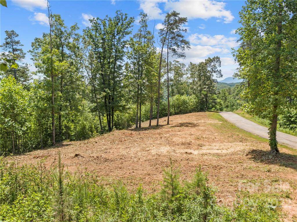 0 Rock Ledge Drive - Photo 1