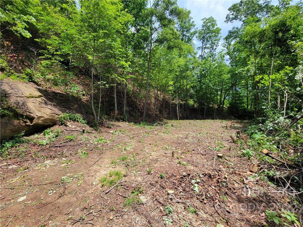 324 Filly Lane - Photo 1