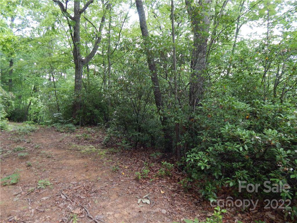 0 Fox Run Road - Photo 1