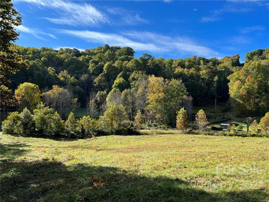 809 Poplar Gap Road - Photo 1