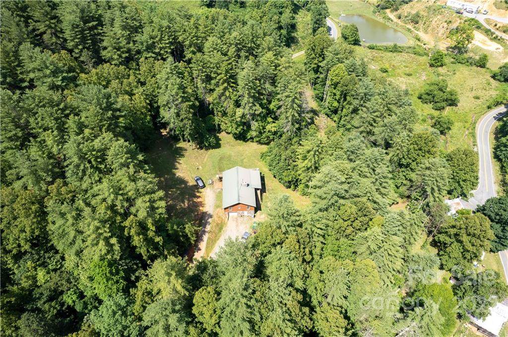 561 Bee Tree Road - Photo 1