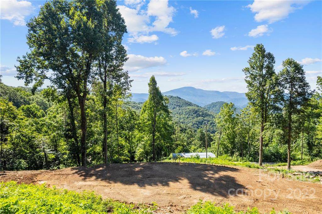 673 Mountain Cove Road - Photo 1