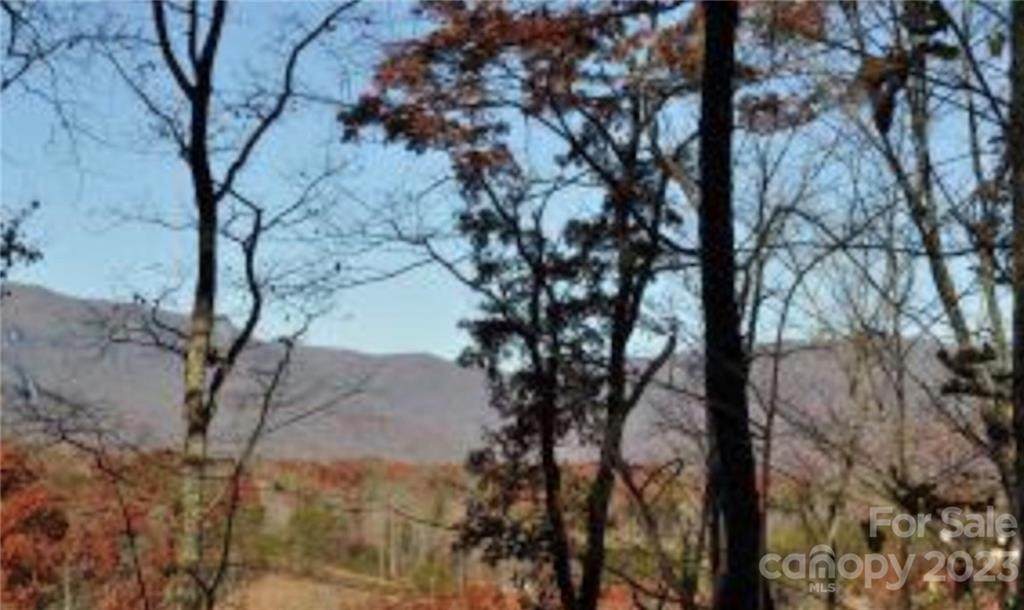 0 High Pines Loop - Photo 1