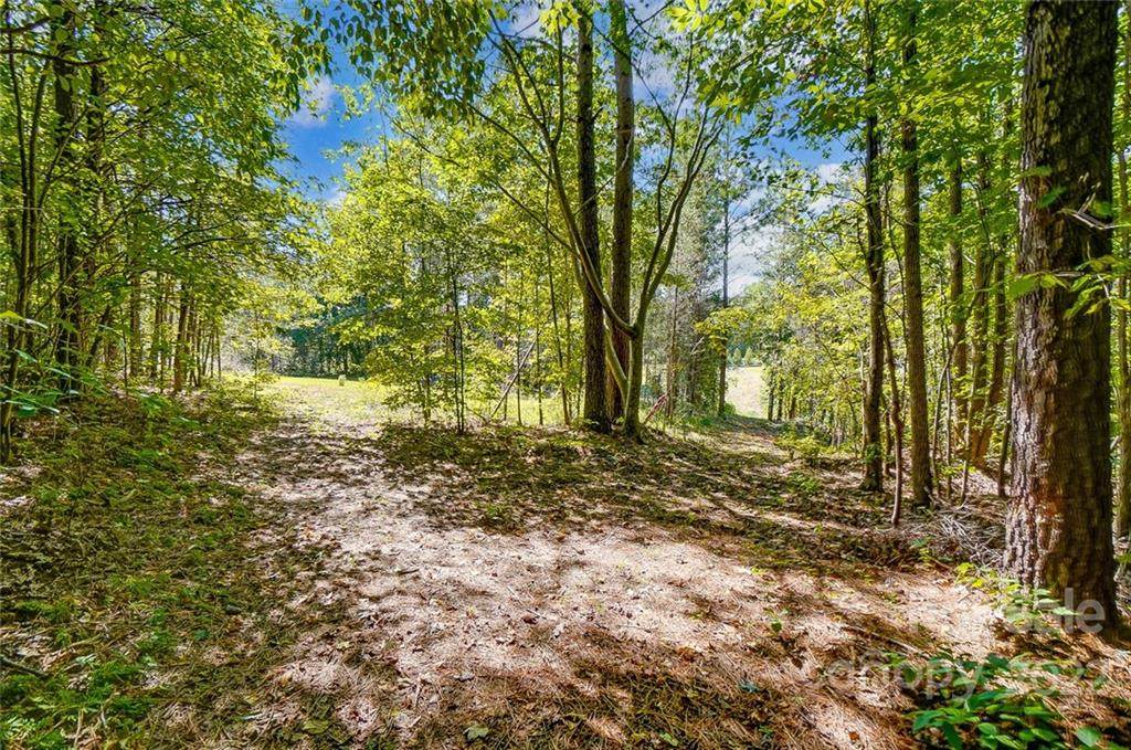 Lot 7 Beth Haven Church Road - Photo 1