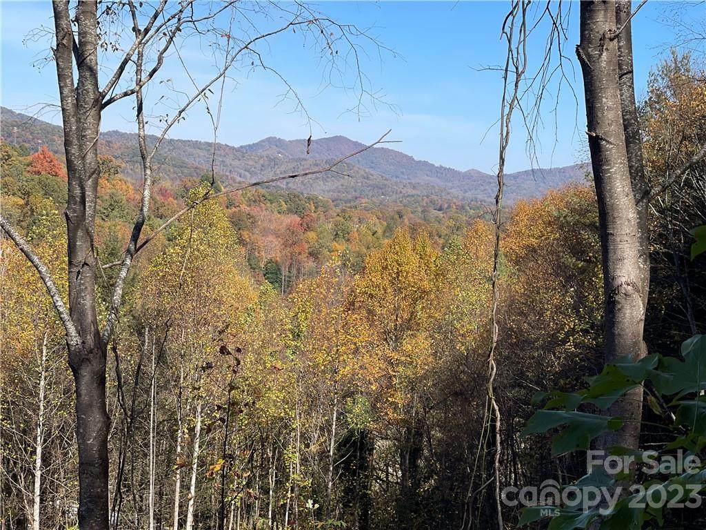 TBD Morgan Cove Road - Photo 1