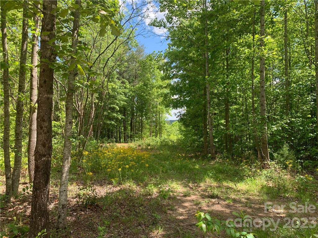 10.35 acres High Country Extension - Photo 1
