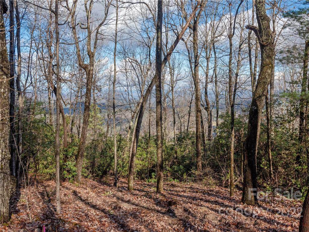 000 Pinnacle Mountain Road - Photo 1