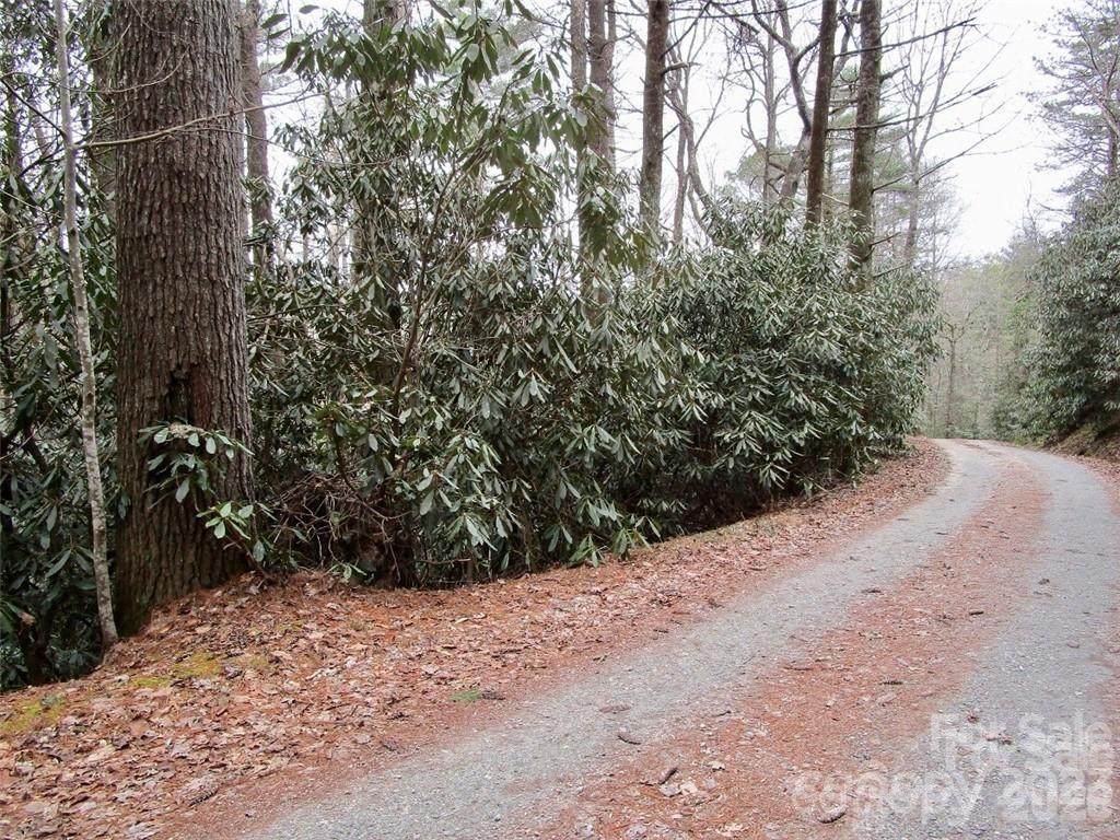 Lot #22 Toxaway Falls Drive - Photo 1