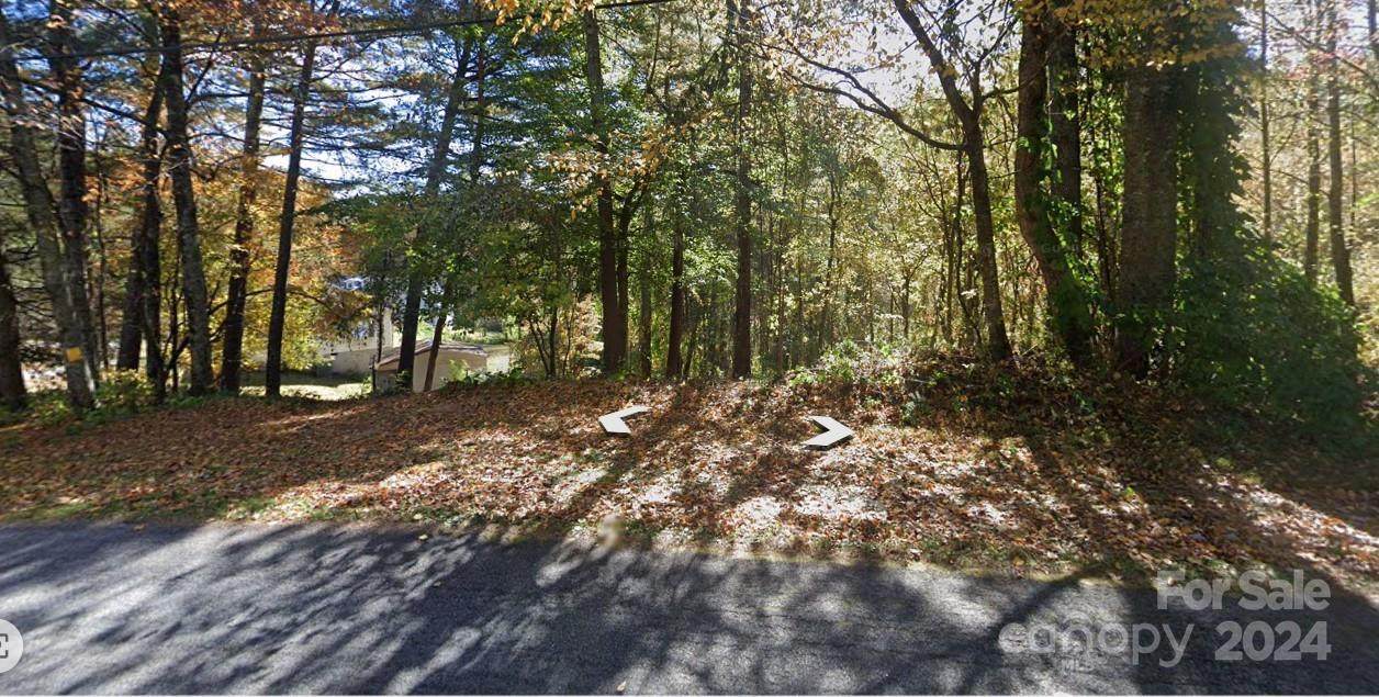 1272 Big Hungry Road - Photo 1